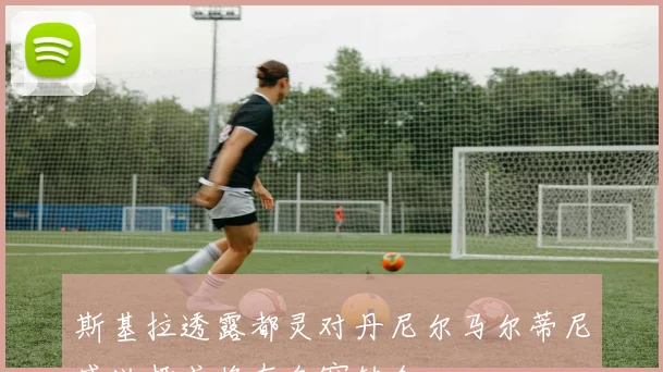 斯基拉透露都灵对丹尼尔马尔蒂尼感兴趣或将在冬窗转会