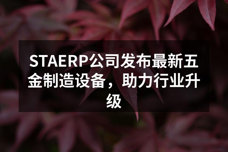 STAERP新型五金制造设备现场展示