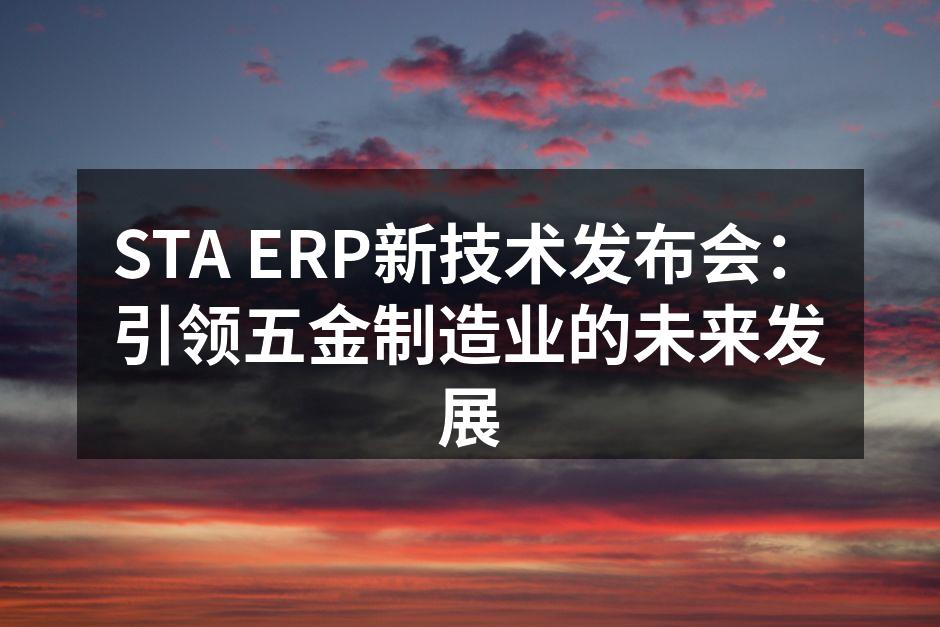 STA ERP新技术发布会现场